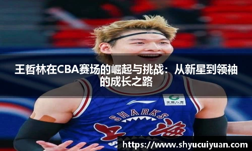 k1体育网页版