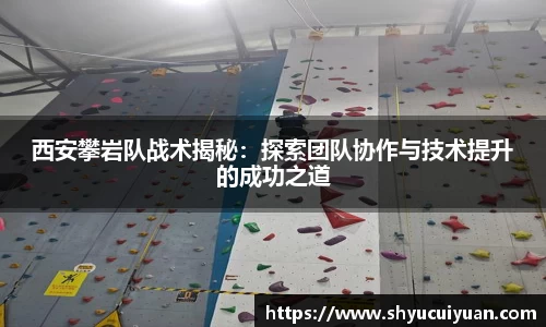 k1体育